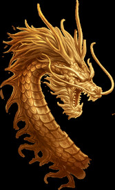 中国风金色龙元素