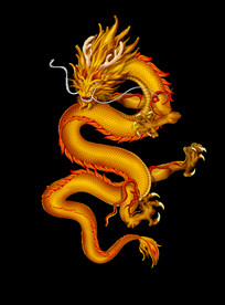 中国风金色龙元素