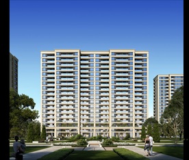 绿城别墅洋房园林景观