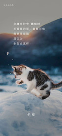 冬至节气海报