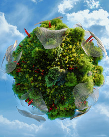 C4D 模型植物星球