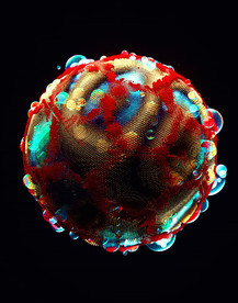 C4D 模型抽象珠子眼睛
