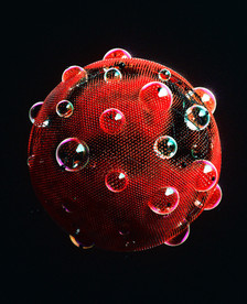 C4D 模型抽象珠子眼睛
