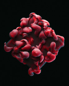 C4D 模型 菌