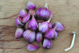 蒜瓣 大蒜 红蒜