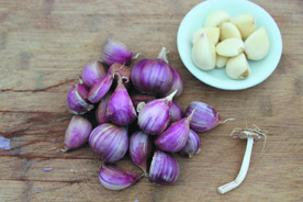 蒜瓣 大蒜 红蒜