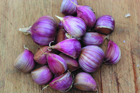 蒜瓣 大蒜 红蒜