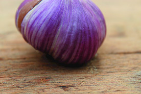 蒜瓣 大蒜 红蒜