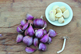 蒜瓣 大蒜 红蒜