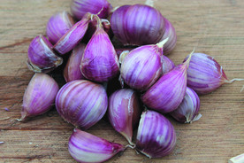 蒜瓣 大蒜 红蒜