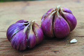 蒜瓣 大蒜 红蒜