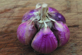 蒜瓣 大蒜 红蒜