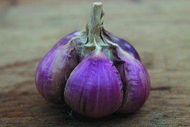 蒜瓣 大蒜 红蒜