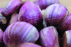 蒜瓣 大蒜 红蒜