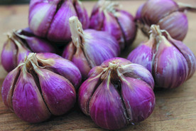 蒜瓣 大蒜 红蒜