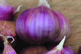 蒜瓣 大蒜 红蒜