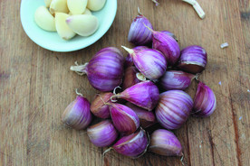 蒜瓣 大蒜 红蒜