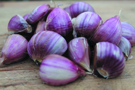 蒜瓣 大蒜 红蒜