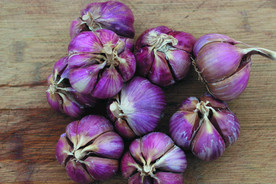 蒜瓣 大蒜 红蒜