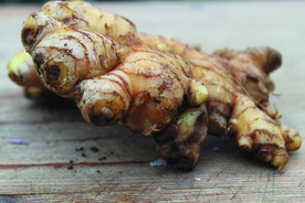 生姜   冬季姜   老姜