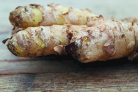 生姜   冬季姜   老姜