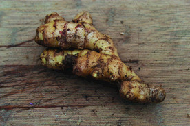 生姜   冬季姜   老姜