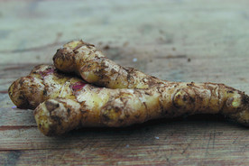 生姜   冬季姜   老姜