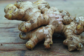 生姜   冬季姜   老姜