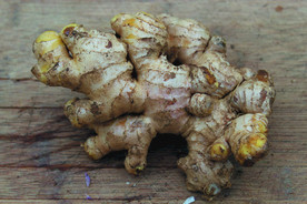 生姜   冬季姜   老姜