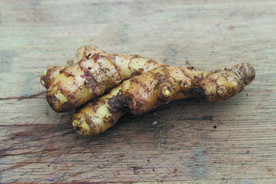 生姜   冬季姜   老姜