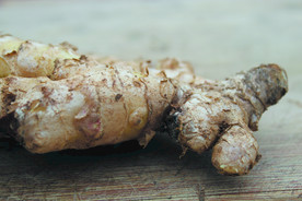 生姜   冬季姜   老姜