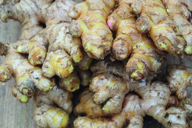 生姜   冬季姜   老姜