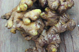 生姜   冬季姜   老姜