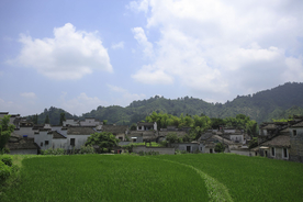 西递
