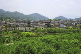 西递
