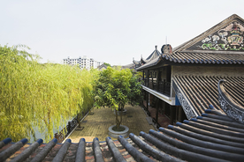 西递