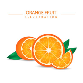 橙子 水果 蔬菜