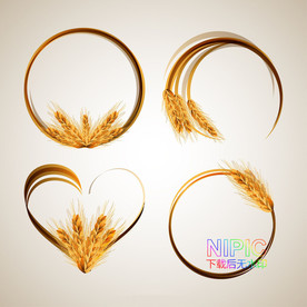 模版一袋麦子麦子麦穗金黄素材