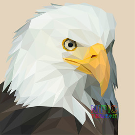 low poly 老鹰