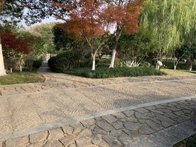 公园风景