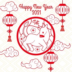 牛 新年展板背景