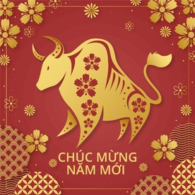 牛 新年展板背景