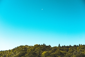 蓝天