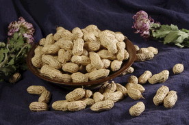 花生 花生米 花生粒 生花生