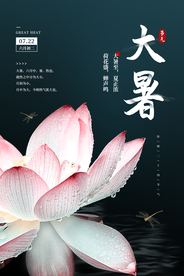 大暑节气传统活动宣传海报素材