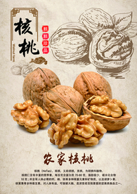 农家核桃