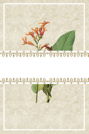 中国风 水墨 喜庆背景图片