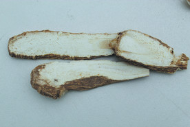 白芷   香料   食物原料