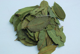 香叶   香料    食物原料