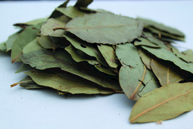 香叶   香料    食物原料